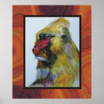mandrill posters