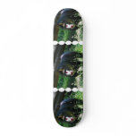 Mandrill Skateboard