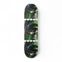 Mandrill Skateboard