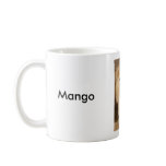 Mango Mug