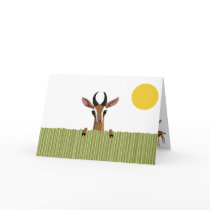Mango the Gazelle Peek-a-boo