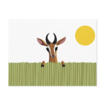 Mango the Gazelle Peek-a-boo