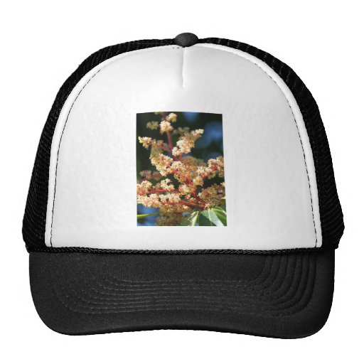 Mangoflowers Mesh Hat