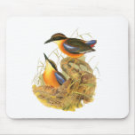 Mangrove Pitta mousepads