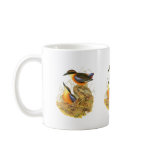 Mangrove Pitta mugs