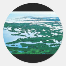 Mangrove Swamp in Florida Round Stickers