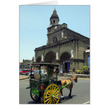 manila cathedral horse cards