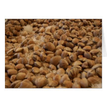 manila clams greeting card