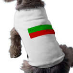Manizales, Columbia pet clothing