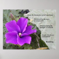 Mankind's Flower