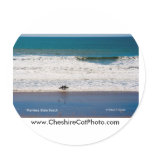 Manresa State Beach California Products Sticker