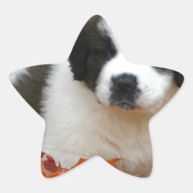 Man's Best Friend Sticker