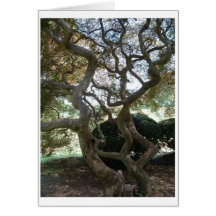 mansion 726 123 greeting cards
