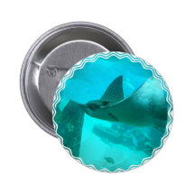 Manta Ray Button