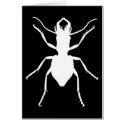Manticora tuberculata cards