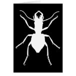 Manticora tuberculata cards