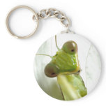 Mantids keychains