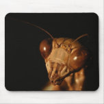 Mantis 15 ~ mousepad