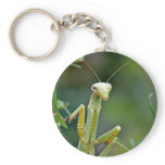 Mantis 475 Keychain