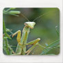 Mantis 475 Mousepad