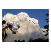 Mantis and Cloud ~ ATC