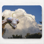 Mantis and Cloud ~ mousepad