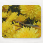 Mantis & Chrysanthemums - Mousepad #2