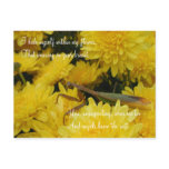 Mantis & Chrysanthemums - Postcard #2