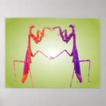 Mantis Dance posters