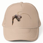 Mantis ~ hat