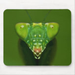 Mantis mousepads