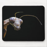 Mantis on black ~ mousepad