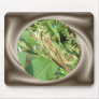 Mantis Pre-nups ~ mousepad