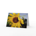Mantis Rising Greeting Cards