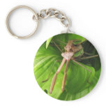 Mantis Romance ~ keychain