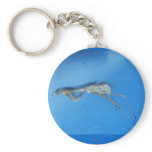 Mantis Skin ~ keychain