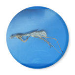 Mantis Skin ~ magnet