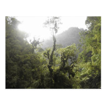 Manu National Park Post Card