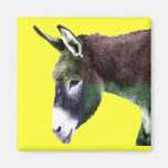 Many Colours Burro Donkey Refrigerator Magnet