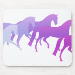 Many Horses (purples)