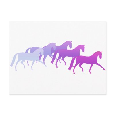 Many Horses (purples) Postcards by dogsandhorses