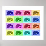 Many Hues of Hedgehogs posters