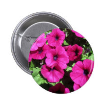 Many Purple Petunias Pinback Button