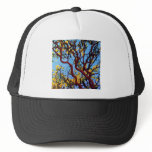 Manzanita in Autumn