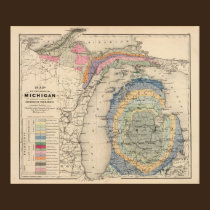 Map of the State of Michigan posters