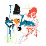 mapache t-shirts
