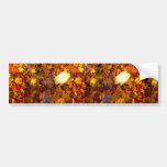 Maple and beech leaves beneath the water's surface bumper stickers