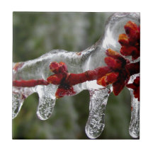 maple ice buds ceramic tiles