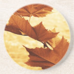 Maple leaf  Coaster