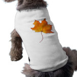 Maple Leaf Dog T-shirt pet clothing